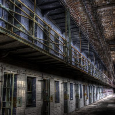 600 SQUAREmansfield cells 600 SQUAREmansfield cells